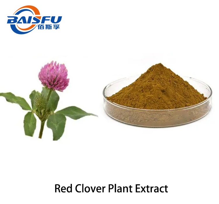 Red Clover Plant Extract 2.png