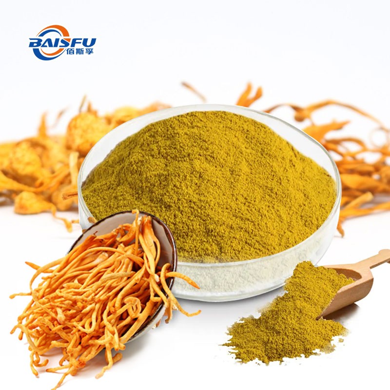 High Quality Cordycepin Has Lung and Kidney Protection