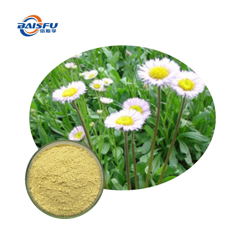 Breviscapine Pale Yellow Powder Helps Regulate Blood Lipids