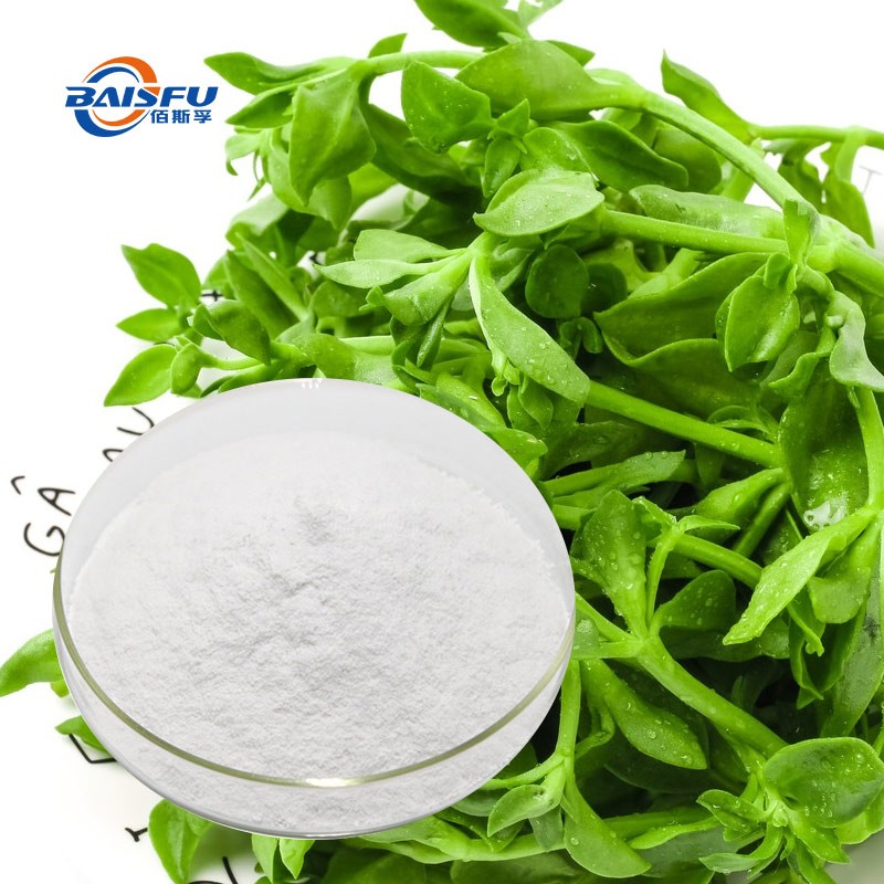 Andrographolide, A Natural Plant Extract, is Widely Used in Medicine