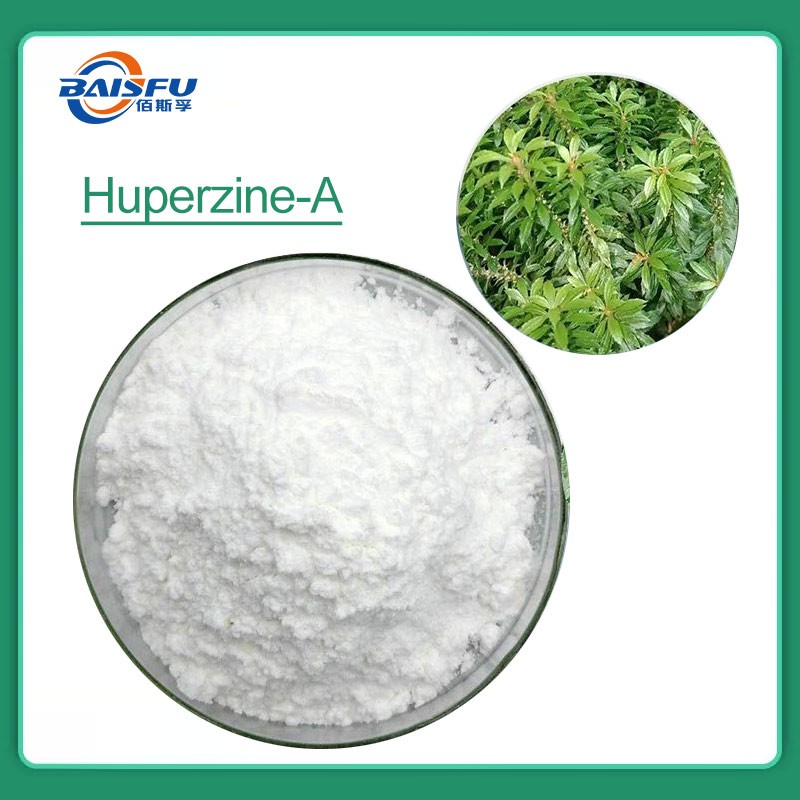 Huperzine A in White Powder Form Improves Memory