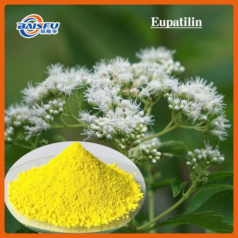 99% Pure Yellow  Powder Isozephyrin Cooling Pain Relief