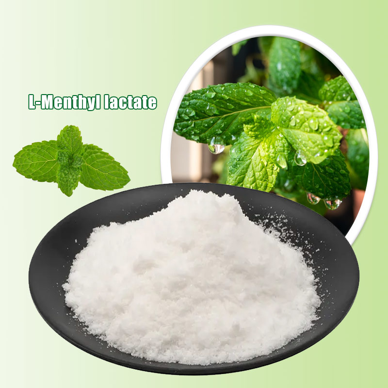 1755828532697693.png A01-乳酸薄荷酯1.png
